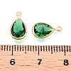 K9 Glass Charms GLAA-T023-10E-3