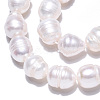 Natural Cultured Freshwater Pearl Beads Strands PEAR-N012-10D-3