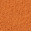 MIYUKI Round Rocailles Beads SEED-G007-RR0405F-3