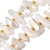 Electroplated Natural Quartz Crystal Beads Strands G-F800-F11-1