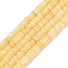 Natural Freshwater Shell Beads Strands SHEL-Q028-01B-1