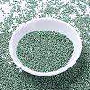 MIYUKI Delica Beads X-SEED-J020-DB1171-2