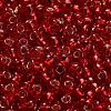 TOHO 6/0 Round Beads X-SEED-TR06-0025C-4