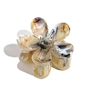 Gradient Color Plastic Claw Hair Clips PW-WGBEE53-06-1