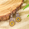 Bohemian Alloy Enamel Dangle Earrings FS-WG2DAA9-03-1