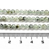 Natural Prehnite Beads Strands G-G140-A19-03-5