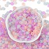 Transparent Colours Glass Seed Beads X1-SEED-P008-01B-09-3