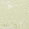 Baking Paint Glass Seed Beads X-SEED-S042-05B-63-3