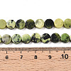 Natural Serpentine Beads Strands G-N346-06A-02-5