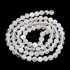 Natural Rainbow Moonstone Beads Strands G-P500-01C-01A-5