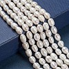 Grade A Natural Cultured Freshwater Pearl Beads Strands X-A23WD011-4