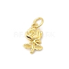 Brass Pendants KK-I364-44G-1