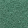 TOHO Round Seed Beads SEED-XTR11-0561F-2