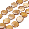 Natural Freshwater Shell Beads BSHE-I011-01A-01-1