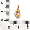 Ion Plating(IP) 304 Stainless Steel Rhinestone Pendants STAS-A104-11G-05-3