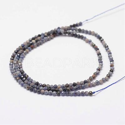 Natural Sapphire Gemstone Beads Strands G-K182-2mm-22A-1
