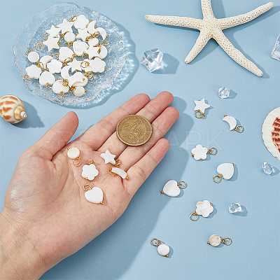 40Pcs 5 Styles Natural Freshwater Shell Charms PALLOY-AB00085-1