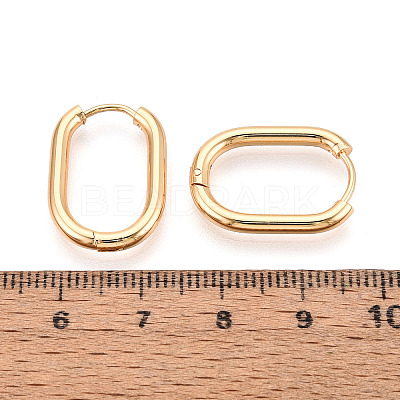 304 Stainless Steel Hoop Earrings STAS-T074-29G-1