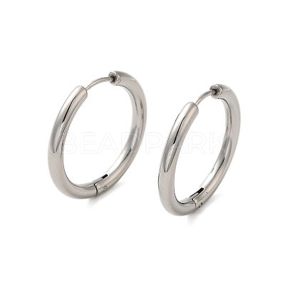 Tarnish Resistant 304 Stainless Steel Hoop Earrings EJEW-P177-P-24-1