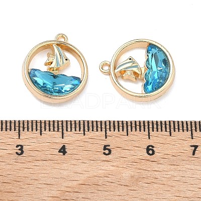 Alloy Glass Pendants FIND-B061-05G-B02-1