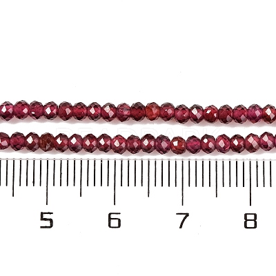 Natural Garnet Beads Strands G-F770-D02-02-1