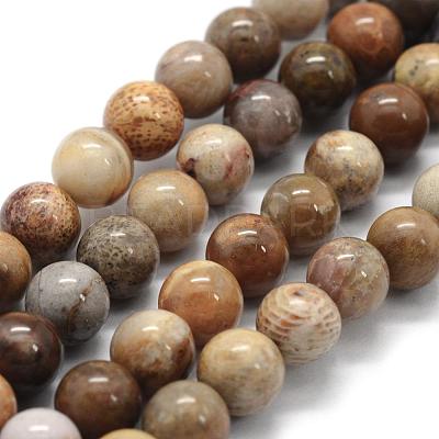 Natural Fossil Coral Beads Strands G-G763-12-10mm-1