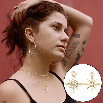 16Pcs 2 Styles Brass Micro Pave Cubic Zirconia Charms KK-UN0002-12-1
