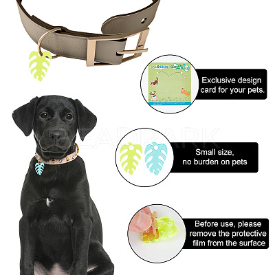 Transparent Blank Acrylic Pet Dog ID Tag PALLOY-AB00042-1