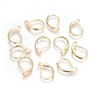 304 Stainless Steel Leverback Earrings Findings STAS-P227-47G-1
