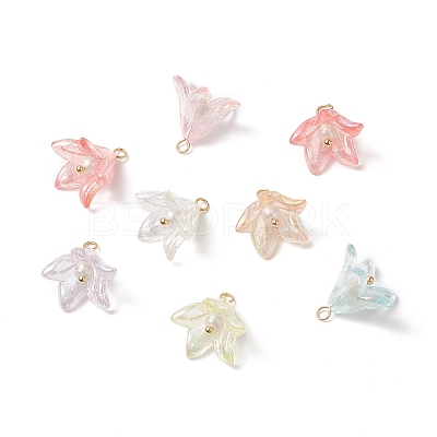 Acrylic Pendants PALLOY-TA00023-1