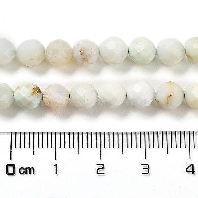 Natural Green Opal Beads Strands G-Z035-A02-04A-1
