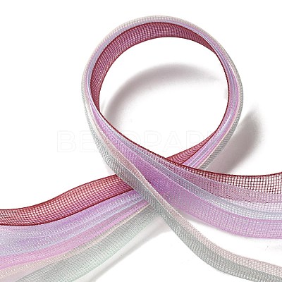 Polyester and Nylon Ribbon Sets DIY-Z029-01L-1