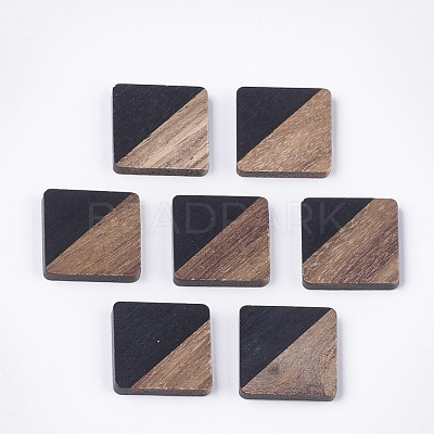 Resin & Walnut Wood Cabochons RESI-S358-A-90D-1