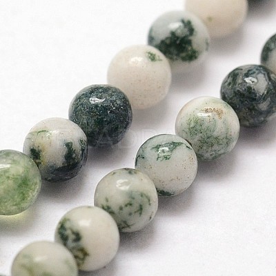 Natural Tree Agate Beads Strands G-N0192-01-2mm-1