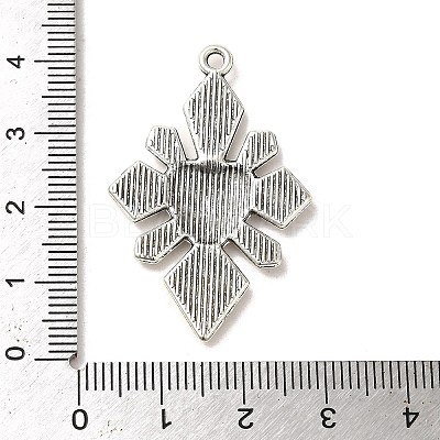Tibetan Style Alloy Pendants PALLOY-M217-01H-AS-1
