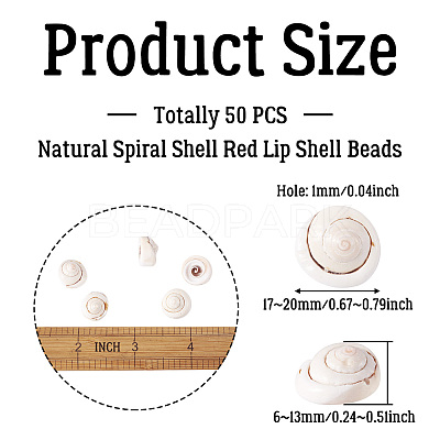 Natural Spiral Shell Red Lip Shell Beads BSHE-TA0002-02-1