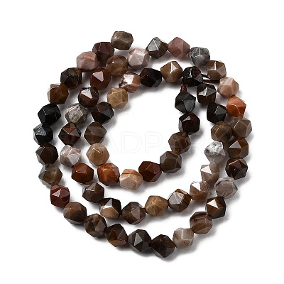 Natural Petrified Wood Beads Strands G-Z119-A21-01-1