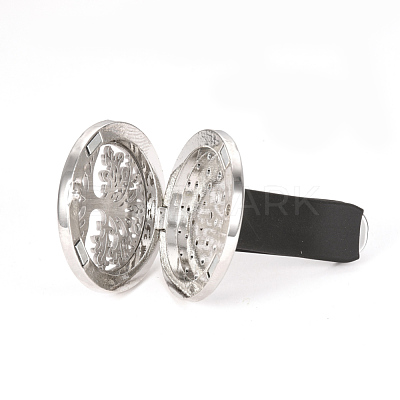 Alloy Car Diffuser Locket Clips AJEW-Q224-12-1