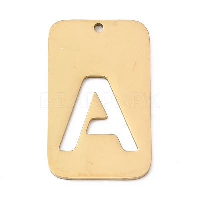 304 Stainless Steel Pendants STAS-D200-01A-G-1