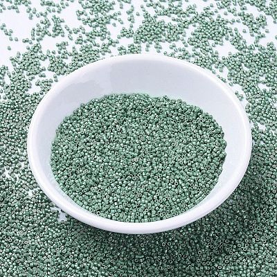 MIYUKI Delica Beads X-SEED-J020-DB1171-1