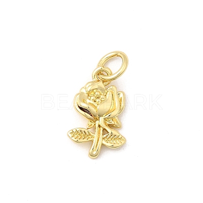 Brass Pendants KK-I364-44G-1