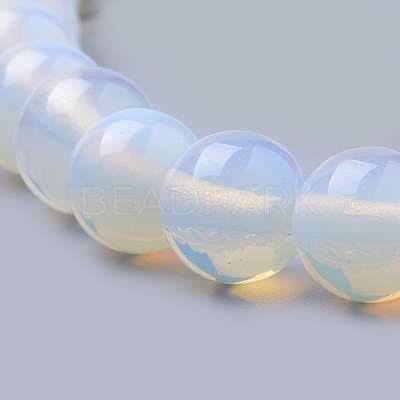 Opalite Beads Strands G-S259-48-14mm-1