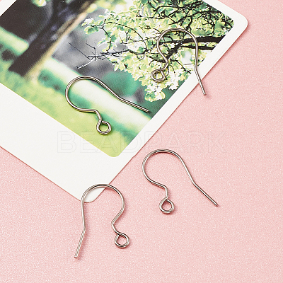 304 Stainless Steel Earring Hooks STAS-TAC0002-01P-1