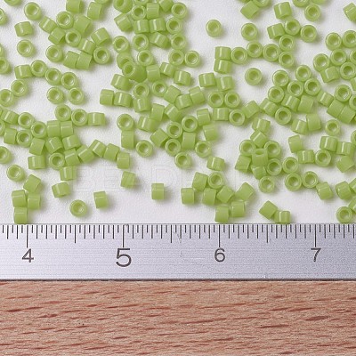 MIYUKI Delica Beads SEED-X0054-DB0733-1