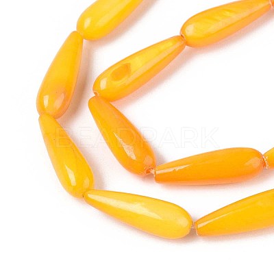 Natural Freshwater Shell Beads Strands SHEL-A004-03D-1