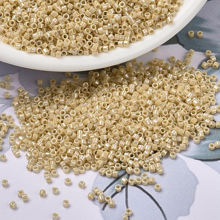 MIYUKI Delica Beads X-SEED-J020-DB1571-1