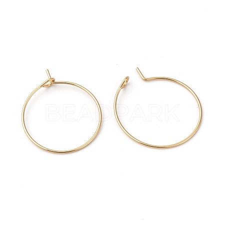316L Surgical Stainless Steel Hoop Earring Findings STAS-G229-07G-02B-1