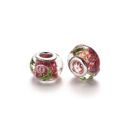 Handmade Lampwork European Beads LS-LPDL-N001-047-D02-1
