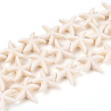 Gemstone Beads Strands TURQ-S210-1-1