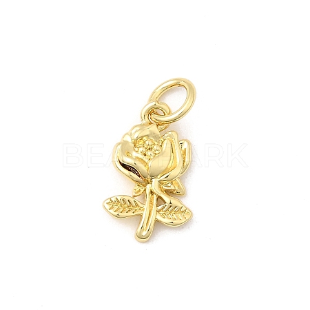Brass Pendants KK-I364-44G-1